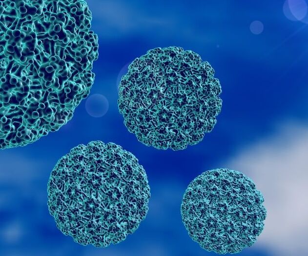 نموذج ثلاثي الأبعاد لفيروس الورم الحليمي البشري الذي يسبب ثآليل الكعب